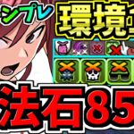 【魔法石85個GET】最強(汎用)テンプレ解説！環境1位エルザ×エルザ編成！代用・立ち回り解説！マガジンコラボ【パズドラ】