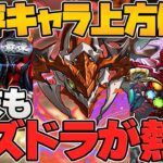 年末SDF開催！裏極悪実装！歴世の杯と神創の雫イベ実質復刻！？魔法石も！新イベント完全解説！【パズドラ】