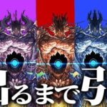 史上最悪⁈ 新アグリ出るかもガチャがヤバすぎたSGF【パズドラ】