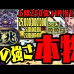 【エルザ】” 最強スキル “で新億兆めちゃくちゃにするんだからWWWWWWWWW【ダックス】【パズドラ実況】