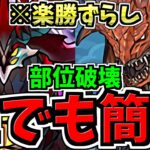 【誰でも簡単】ずらし爆速＆部位破壊！エニグマ降臨周回！ネロミェール編成！代用・立ち回り解説！【パズドラ】