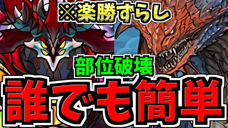 【誰でも簡単】ずらし爆速＆部位破壊！エニグマ降臨周回！ネロミェール編成！代用・立ち回り解説！【パズドラ】