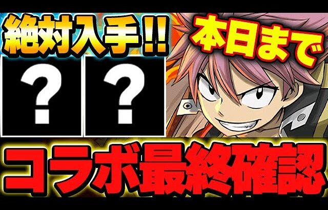 【🚨本日まで🚨】全員入手可能なあのキャラは絶対入手！！マガジンコラボの最終確認！！【パズドラ実況】