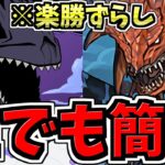 【誰でも簡単】ずらし爆速！ジャガーノート降臨周回！ネロミェール編成！代用・立ち回り解説！【パズドラ】