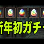 新年一発目の『運試しGA文庫コラボガチャ』で大興奮する男【パズドラ】
