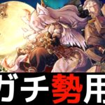 【効率UP】ヒロインコロシアムとナイトメア中級の改良版！闇イルミナ対応しました【パズドラ】