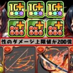 【史上初】新降臨『巴御前』がぶっ壊れすぎてヤバい【パズドラ】