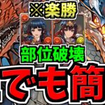 【誰でも簡単】ずらし爆速＆部位破壊！巴御前降臨(ともえごぜん)周回！オススメ編成！試練進化編成と確保数＆交換優先度解説付き！ネロミェール＆シヴァドラ編成！代用・立ち回り解説！【パズドラ】