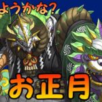 【生放送】お正月どうしようかな雑談【パズドラ】