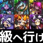【ナイトメア】初級より中級がオススメ！ヒロイン変身キャラのシンクロ覚醒方法を解説【パズドラ】