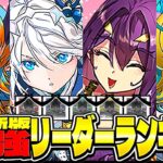 まさかの大幅入れ替え⁈ 最新版最強リーダーランキグンがヤバすぎる【パズドラ】