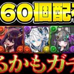 【神後出し】魔法石大量配布と高レア限定ヒロインガチャがヤバすぎる【パズドラ】