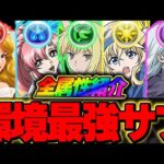 みんなはどれだけ持ってる？現環境ぶっ壊れ最強サブを各属性ごとに紹介！！【パズドラ実況】