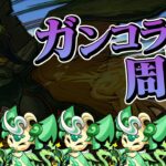 眠くなるまでガンコラやるマン【パズドラ】