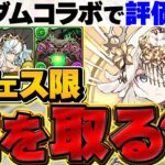 【最新版】新フェス限1体配布はどれを取るべき！？これを見れば今のパズドラ環境が理解できます！！【パズドラ】