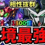 【環境1位】ぶっ壊れジークアクスと転生エクシア等が相性抜群！毎ターン1800億！新極悪チャレンジ周回！最強テンプレ編成！代用・立ち回り解説！ガンダムコラボ/GQuuuuuuX【パズドラ】