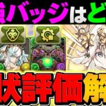 【最新】フェス限1体配布はどれを交換すべき？迷ってる人向け解説！これ見ればOKです！！【パズドラ】