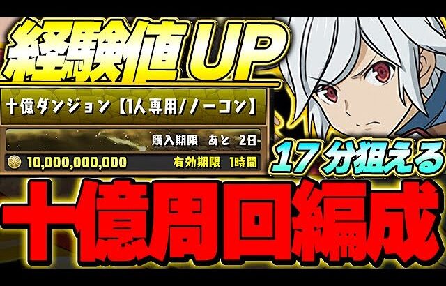 【残り2日】この機会に一気にランク上げしよう！！ベルの十億ダンジョン周回編成！！【パズドラ実況】