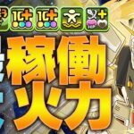 【パズドラ】ガンダムF91最強テンプレ！エンハンスループで火力カンストループがヤバすぎるぞ！新極悪チャレンジを爆速で破壊する！【ガンダムコラボ】
