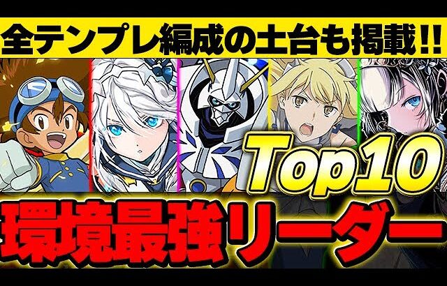 【テンプレ有】上位４体が特にぶっ飛んでる！！現環境の最強リーダーTop10！！【パズドラ実況】