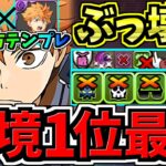 【環境1位】最強相方〇〇でさらに強くなった最強テンプレ解説！裏十億チャレンジ周回！ぶっ壊れ日向編成！代用・立ち回り解説！ハイキューコラボ【パズドラ】
