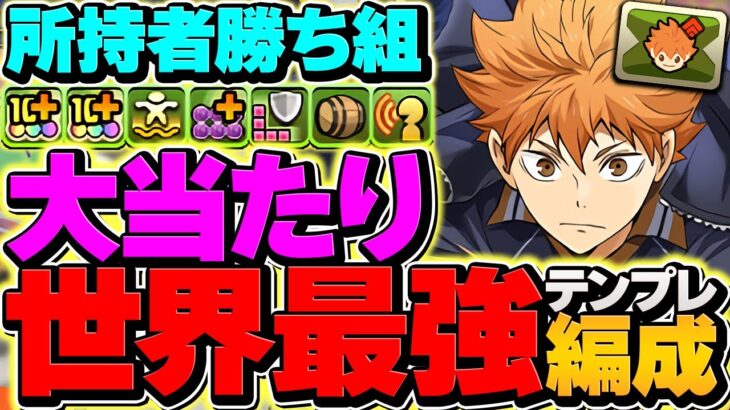 【環境1位】日向×影山の最強テンプレ編成がチートでした！1撃2400億火力で全てをぶっ壊す！！【パズドラ】