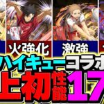 【ガチ】ハイキューコラボは17体の”代用不可武器”が存在しています！全キャラ紹介！【パズドラ】