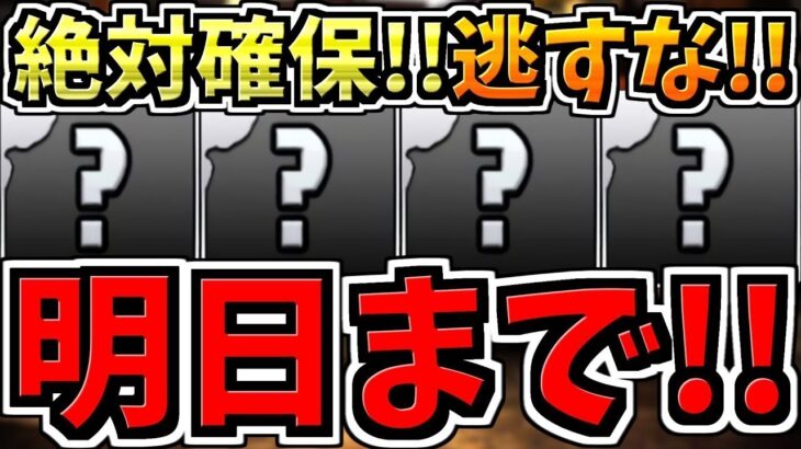 【明日まで】逃すとマズイ絶対確保して！魔法石171個相当,無料ガチャ14回分,確保必須5体など！一挙に紹介解説！【パズドラ】