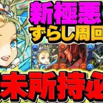 別バッジ対応！新極悪をノアで17分周回！立ち回り固定でクリア率UP!これが最強です！【パズドラ】