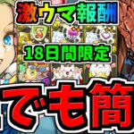 【誰でも簡単】爆速ずらし！激ウマ報酬で限定18日間も開催！13周年記念コロシアム周回！ネロミェール,バレンタインノア編成！代用・立ち回り解説！バレノア【パズドラ】
