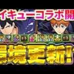 【ぶっ壊れ】片側250倍！！ハイキューコラボ性能公開キター！！日向翔陽が環境最強間違いなし！！【パズドラ実況】＃パズドラ