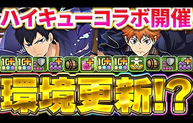 【ぶっ壊れ】片側250倍！！ハイキューコラボ性能公開キター！！日向翔陽が環境最強間違いなし！！【パズドラ実況】＃パズドラ