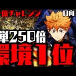 【日向 翔陽】簡単250倍いきなり環境1位WWWWWWWWWW【ハイキュー!!コラボ】【ダックス】【パズドラ実況】