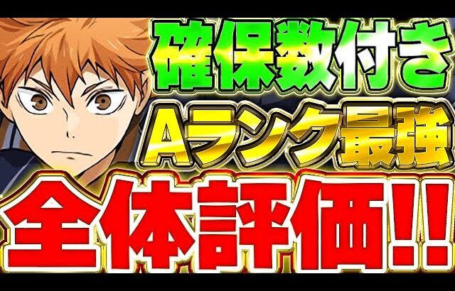 【全29体】ハイキューコラボはこのキャラが大当たり！！日向パ以外にも強いキャラ多数存在！！全体評価＆確保数解説！！【ハイキューコラボ】【パズドラ実況】＃パズドラ ＃ハイキューコラボ