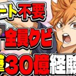 【革命】爆速一撃30億⁉︎ サブ全員ハイキュー抜きの日向編成が天才すぎた表十億【パズドラ】