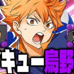 【環境最強】理論値5,000億⁈ 最強烏野編成TOP10がヤバすぎたハイキューコラボ【パズドラ】