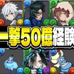【神運営】無課金スキブ8武器爆誕⁈ 新イベントがヤバすぎた裏十億【パズドラ】