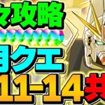 【今誰でも組める】LV11-LV14をF91共通編成で攻略！最低編成難易度！アシスト不要！3月クエスト【パズドラ】
