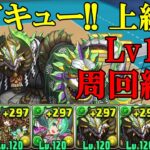 【ハイキュー!!上級編】メダル集め！！清水 潔子×正月ノルディス編成でLv10周回！！【パズドラ】【ハイキュー!!】