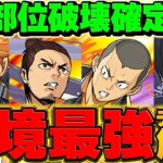 【最適正】これ組めばOK!日向の最強テンプレ編成解説！部位破壊100%対応で裏十億を快適周回できます！【パズドラ】