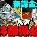 【絶対に見て】このキャラを確保しないと、確実に後悔します。推奨数解説！【パズドラ】