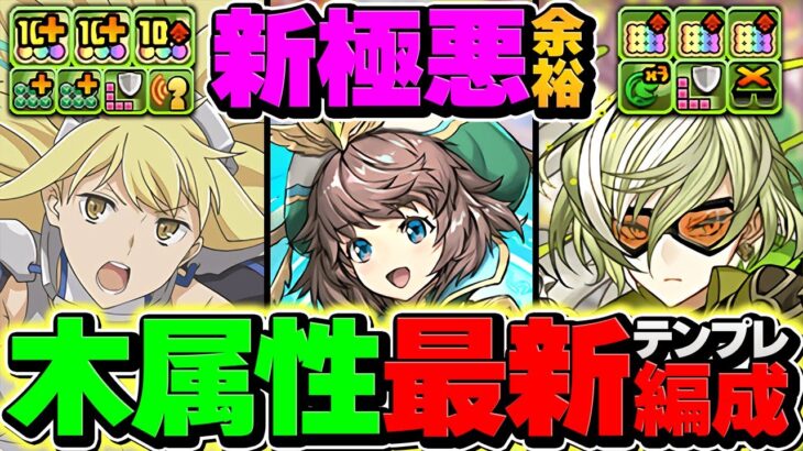 アイズ×リズレットループ×ジニィで新極悪を攻略！木属性が更に強くなるぞ！！！【パズドラ】