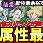 【パズドラ】フリッグ編成で新極悪攻略‼︎さらに木属性を最強に⁉︎タイプバッジが強すぎる‼︎【パズドラ実況】