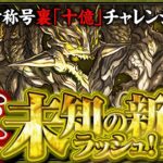 【新称号十億(絢爛)】裏十億初見チャレンジ！！【パズドラ】