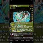 【解説】及川岩泉ループが実質オメガモン？【パズドラ】