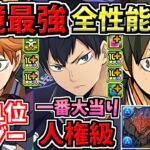 【環境最強だらけ】代用不可まみれ！全キャラ性能解説！確保したいキャラ多数！魔法石ありますか？ハイキューコラボ【パズドラ】