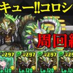 【ハイキュー!!コロシアム】清水 潔子×ルキアーノの正月ノルディス編成で周回！！【パズドラ】【ハイキュー!!】