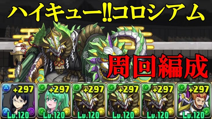 【ハイキュー!!コロシアム】清水 潔子×ルキアーノの正月ノルディス編成で周回！！【パズドラ】【ハイキュー!!】