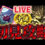 【裏十億チャレンジ】最難関ダンジョン登場！！初見から攻略までやるぞ！！【パズドラ実況】