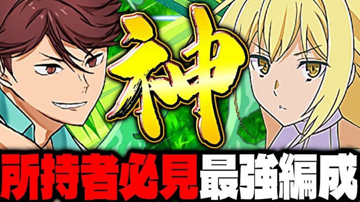 【絶対勝てる】超オススメ！レシート不要！及川×アイズが最強すぎた新億兆【パズドラ】